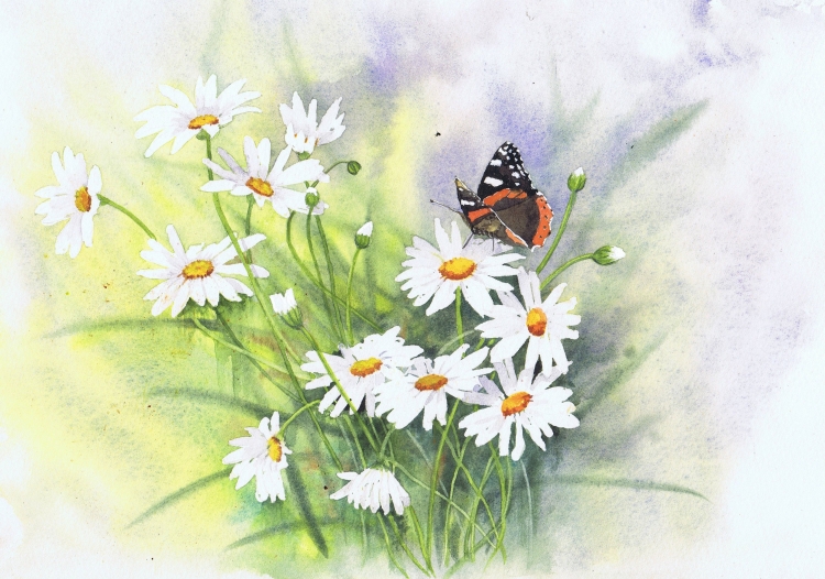 Полевые цветы и бабочки рисунок