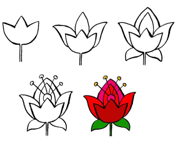 Легкие рисунки цветок