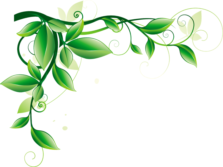 Зеленый цветок рисунок
