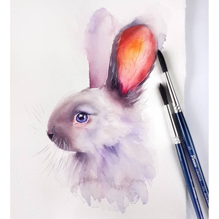 Рисунки темы кролик