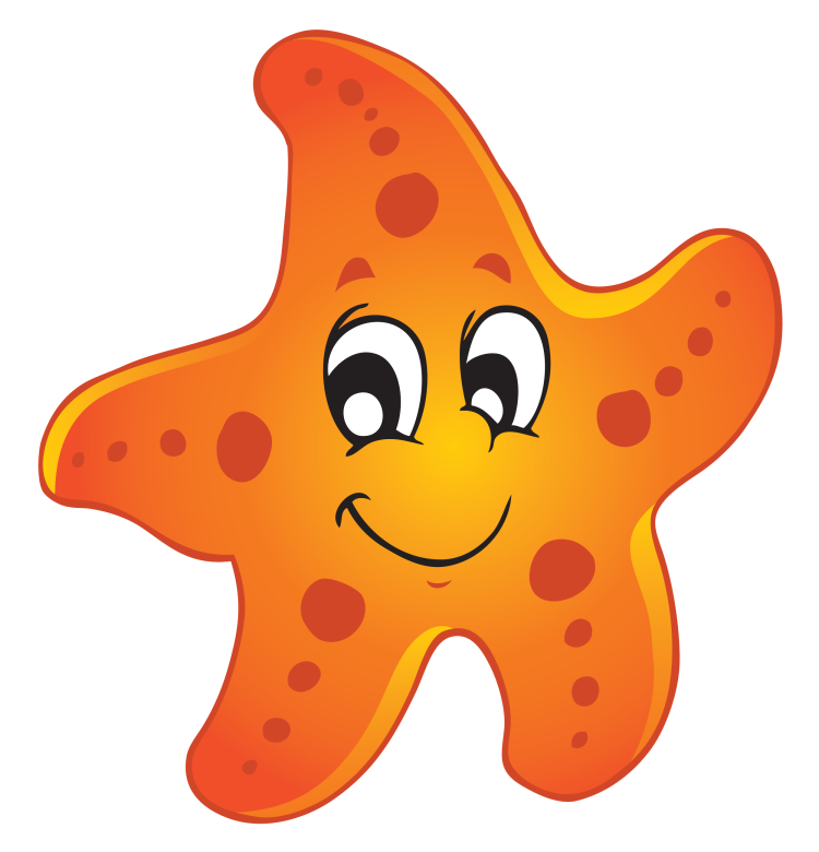 Морская звезда детский рисунок