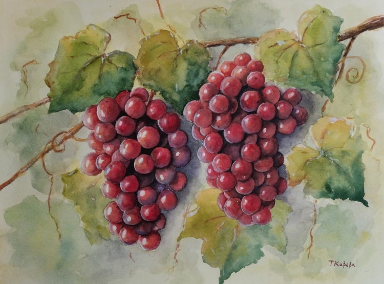 Осенний белый виноград