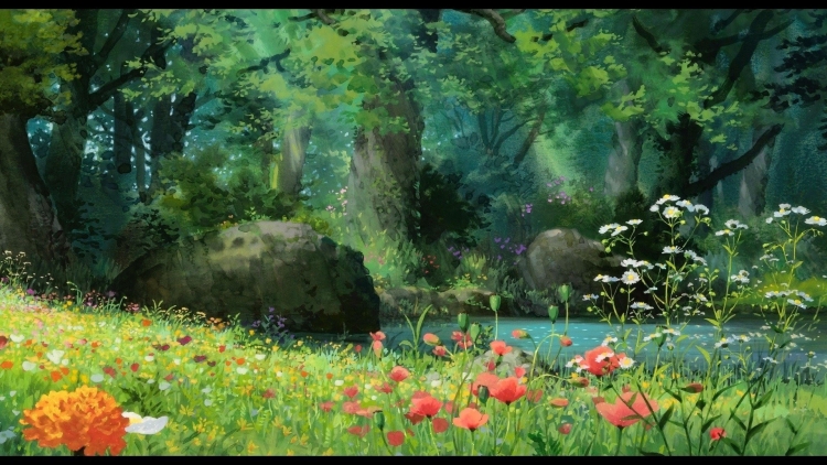 Красивая поляна с цветами в лесу
