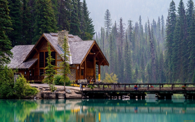 Красивый дом у озера в лесу
