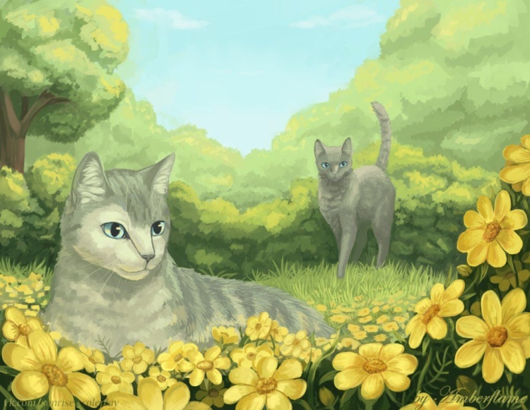 Кот в природе рисунок