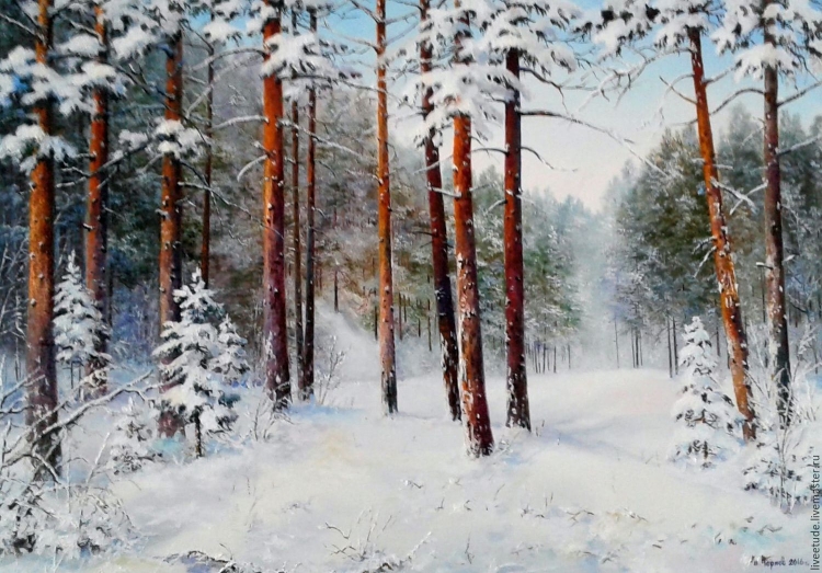 Хвойный лес в снегу