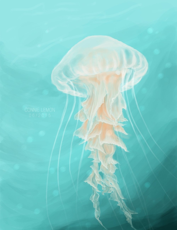 Море с медузами рисунок