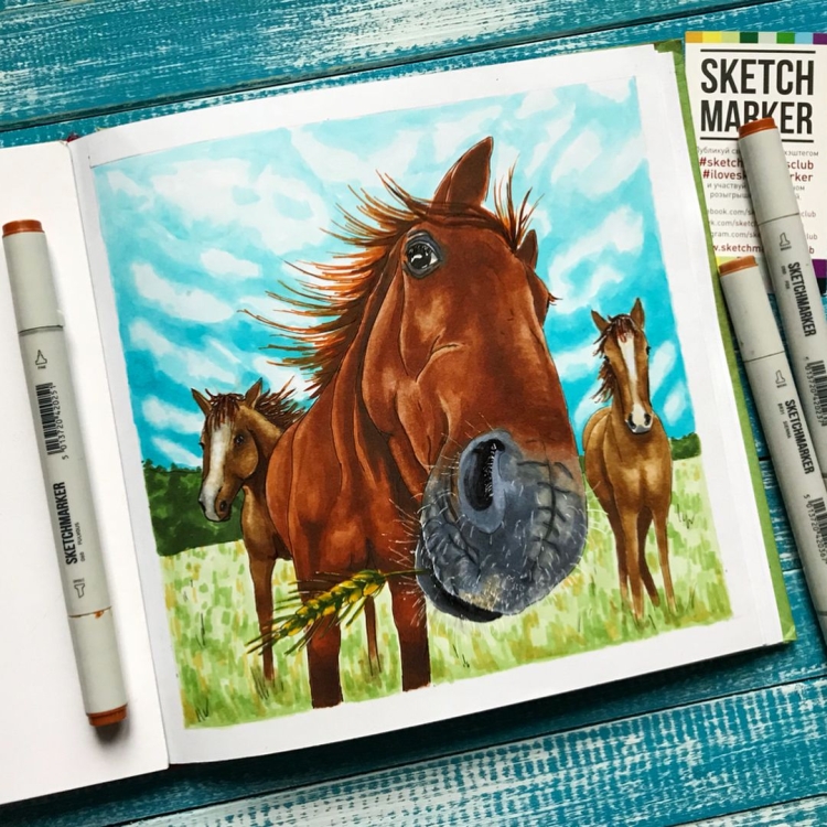 Рисунок лошади скетч маркерами