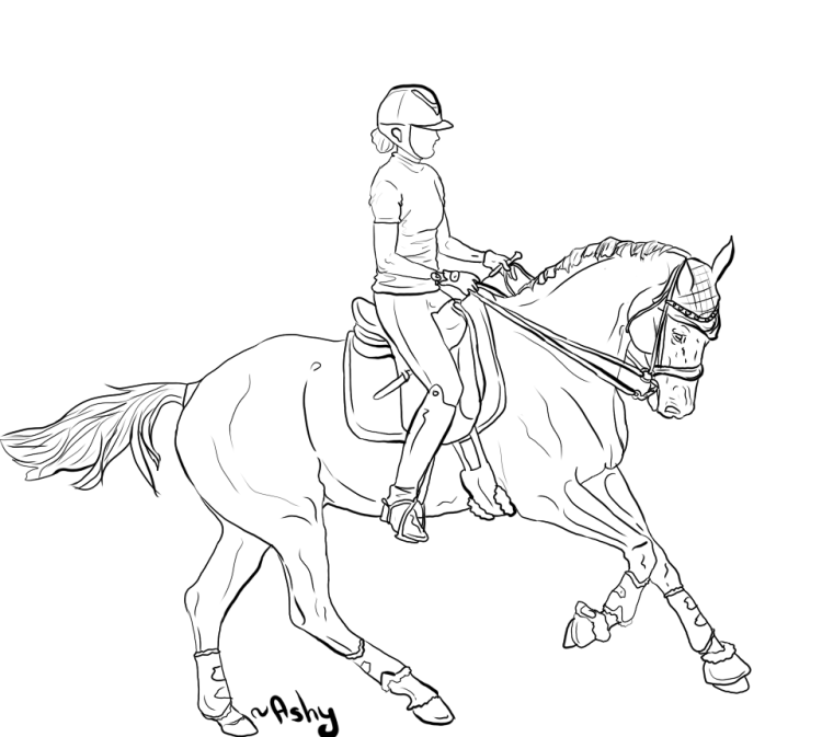 Рисунок лошади с человеком для срисовки