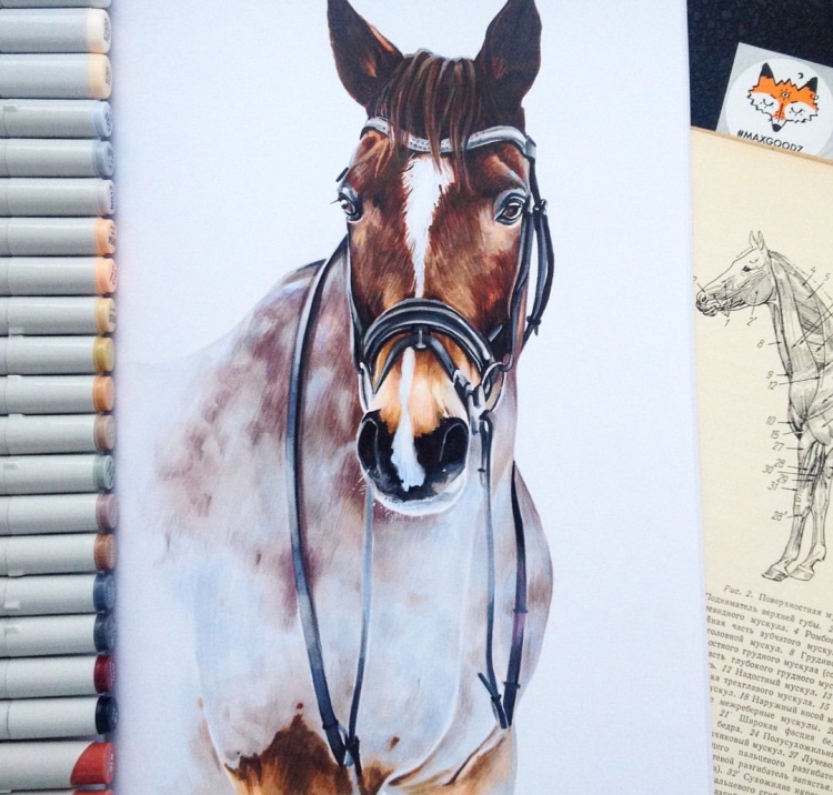 Рисунок лошади маркером