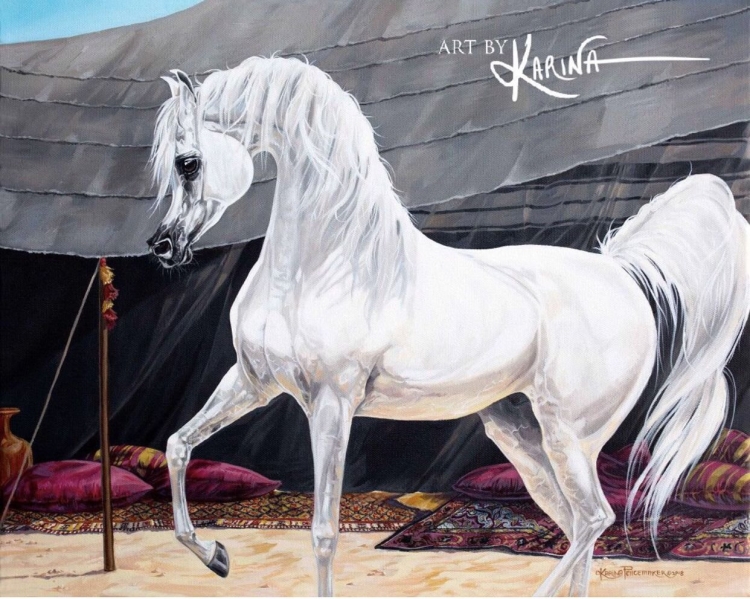 Рисунок арабской лошади