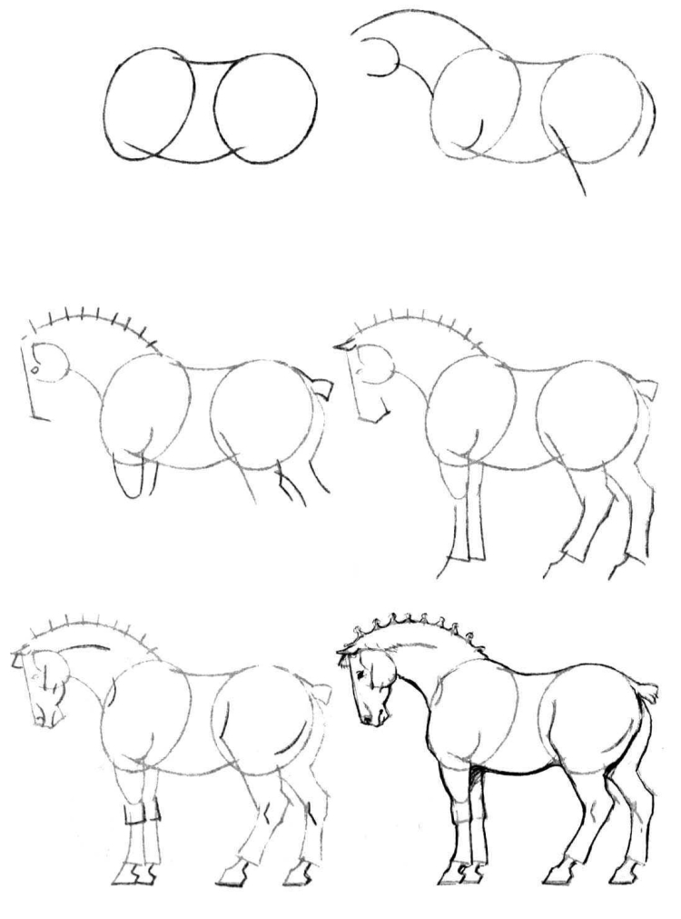 Рисунки для срисовки поэтапно лошади