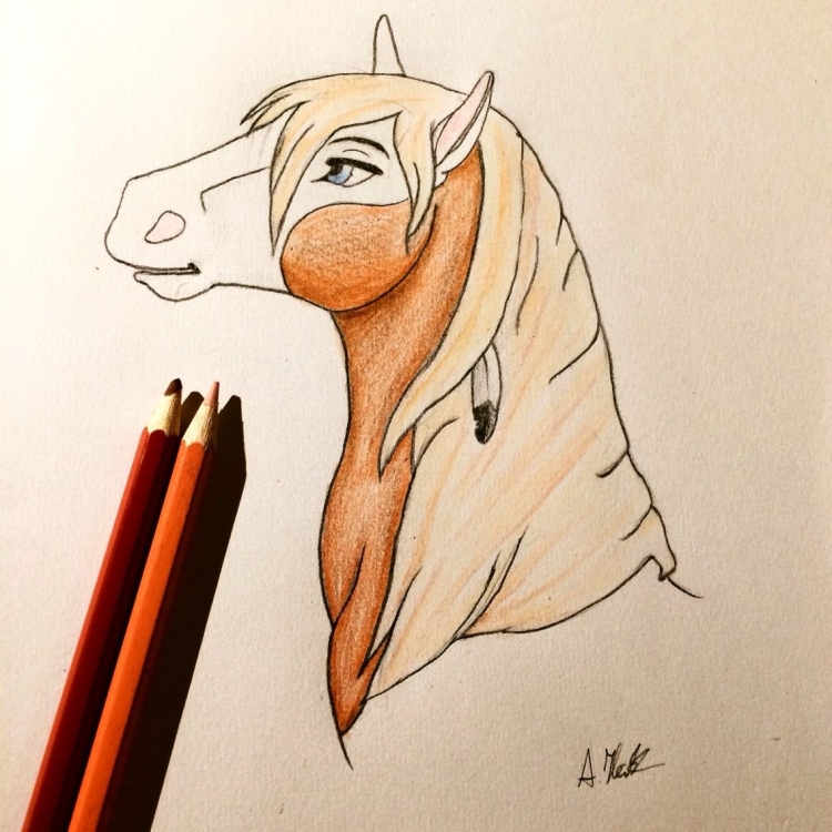 Рисунки для срисовки в скетчбук лошади