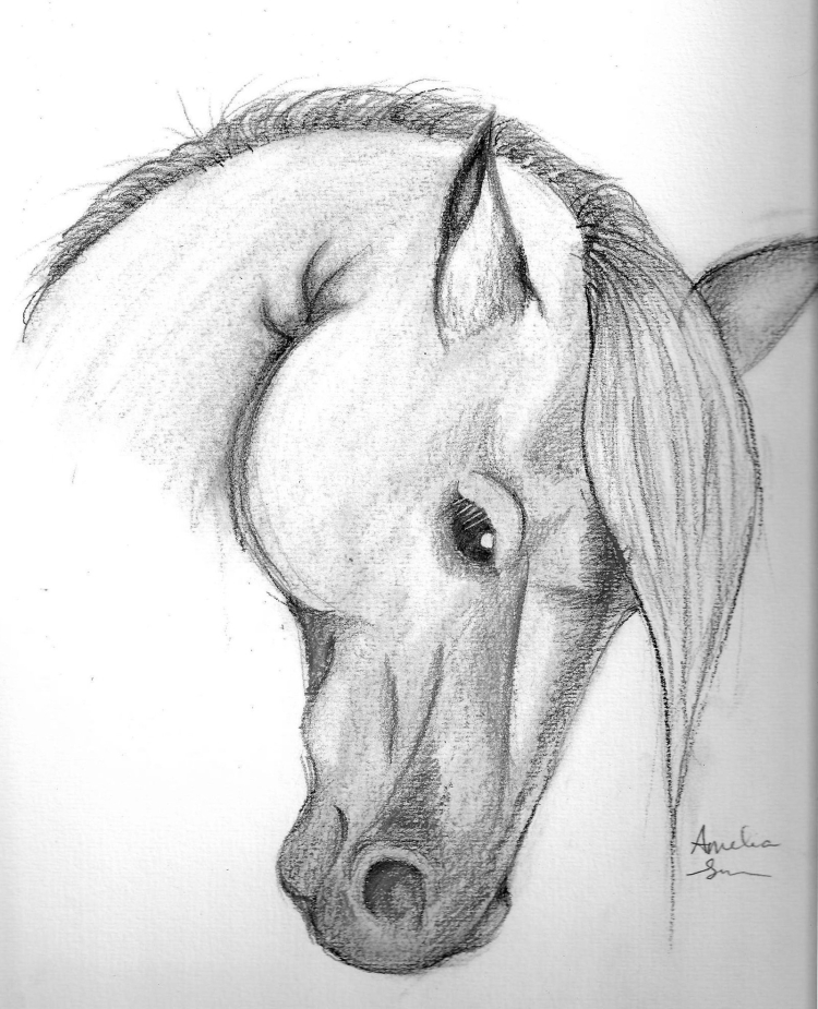 Простой рисунок лошади карандашом для срисовки