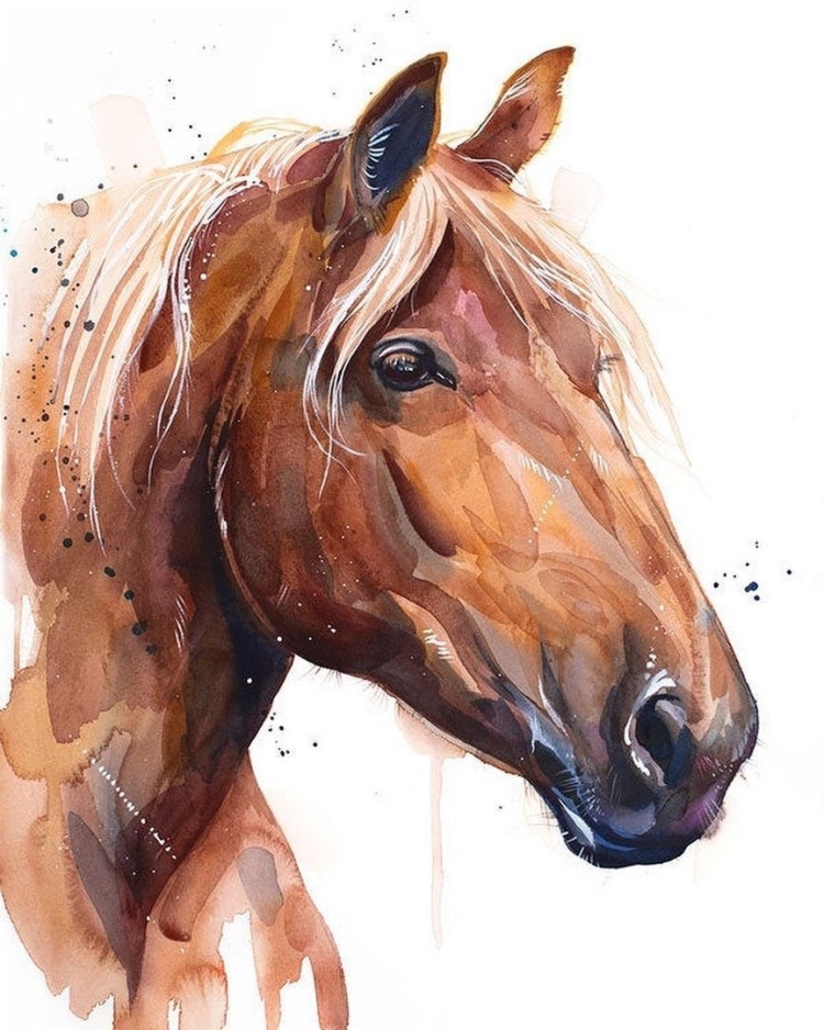 Морда лошади рисунок акварелью