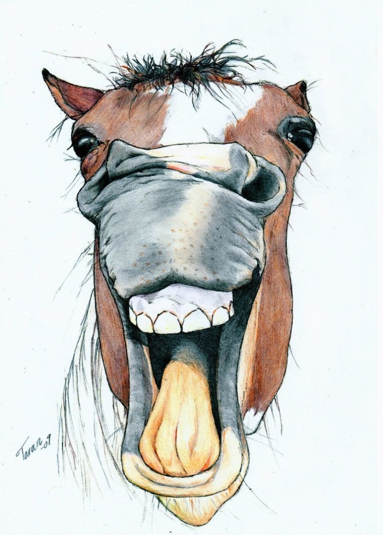 Лошадь с открытым ртом рисунок