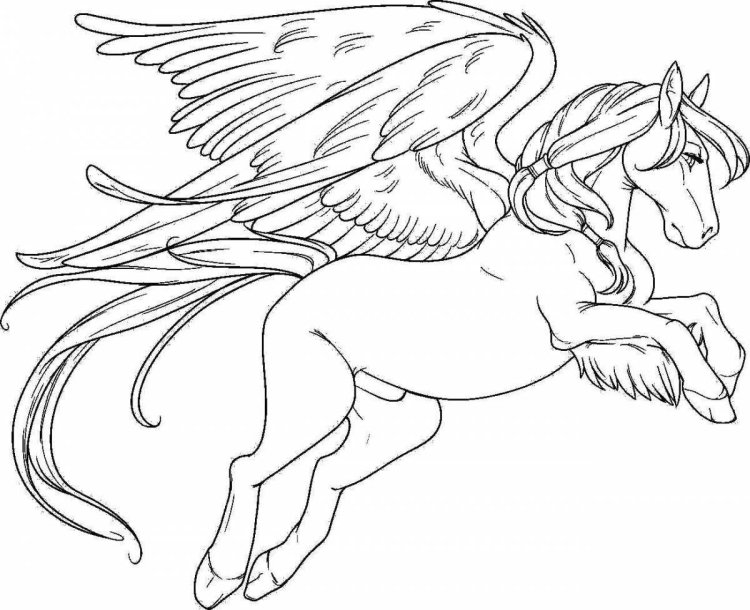 Летающая лошадь раскраска черный - векторное изображение