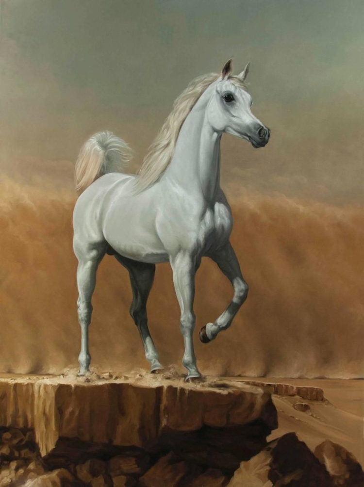 Лошадь в пустыне рисунок
