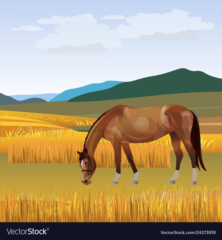 Лошадь в поле рисунок для срисовки