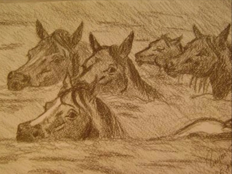 Лошади в океане рисунок