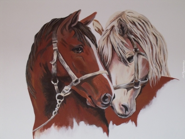 Две лошади рисунок