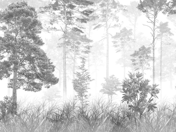 Серый лес рисунок