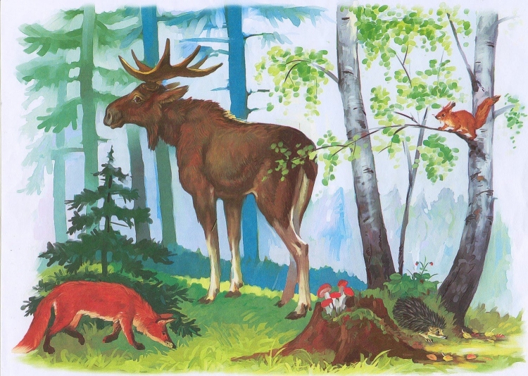 Рисунки для срисовки животные леса