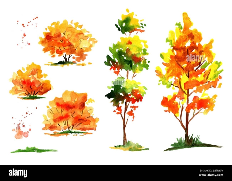Кустарник с желтыми листьями осенью
