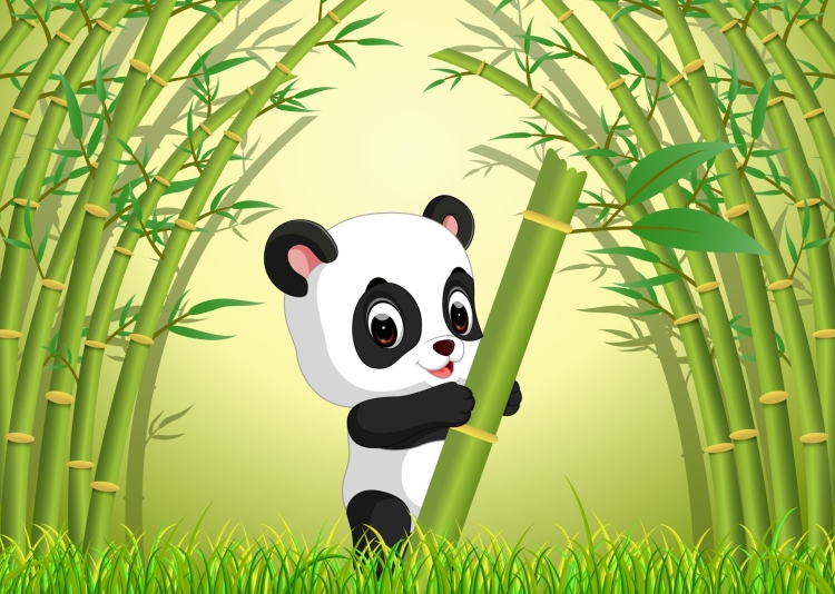 Панда в лесу рисунок