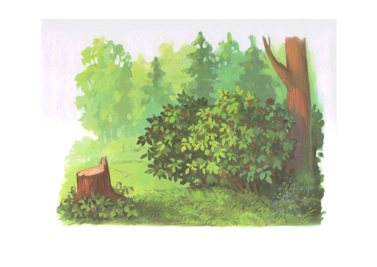 Кусты в лесу рисунок