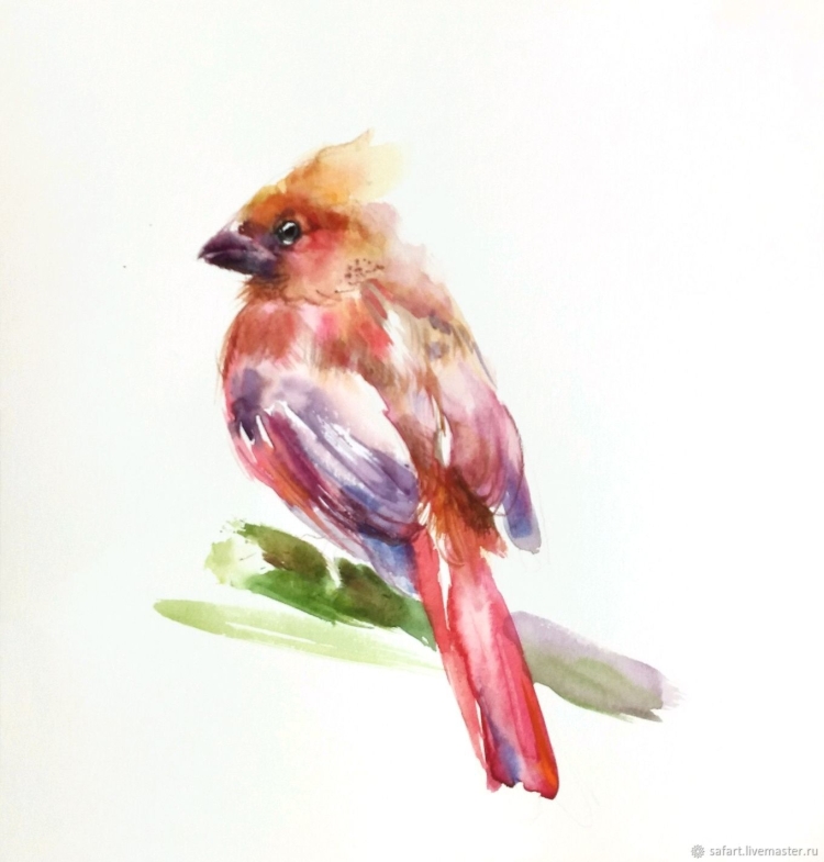 Розовая птица с хохолком