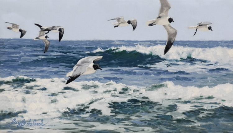 Водоплавающие птицы океана