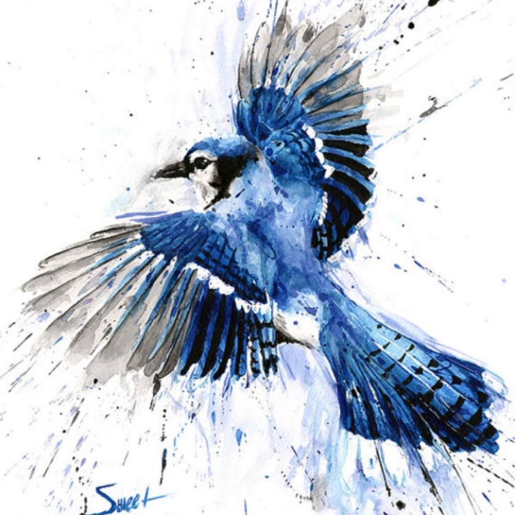 Птица в лесу с синими крыльями