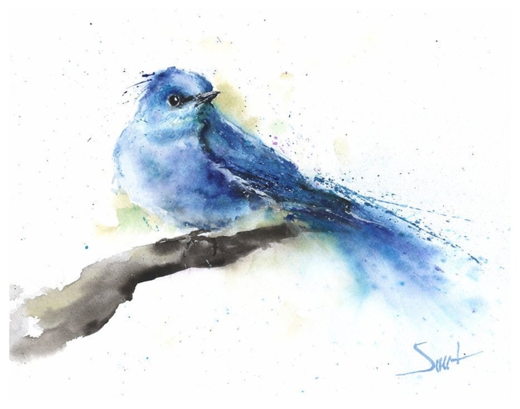 Синяя галка птица