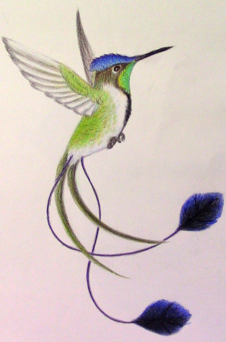 Красивая птица с длинным хвостом