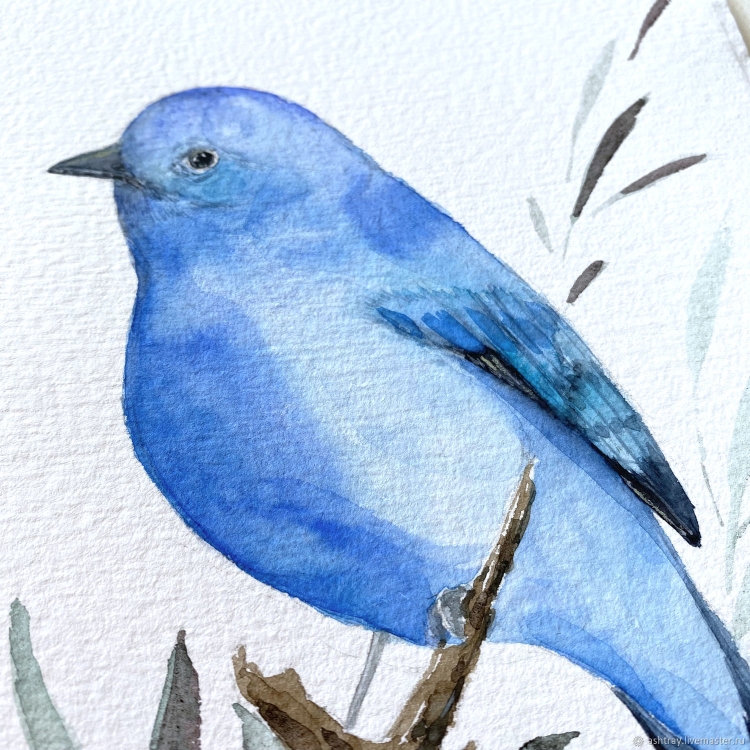 Большая серая птица с синим хвостом
