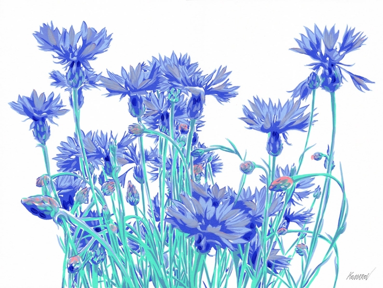 Длинные синие цветы