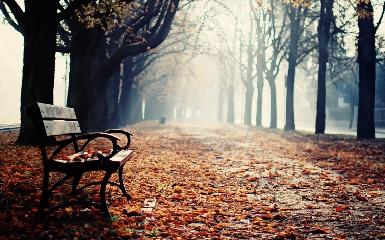 Одинокая скамейка в парке осени