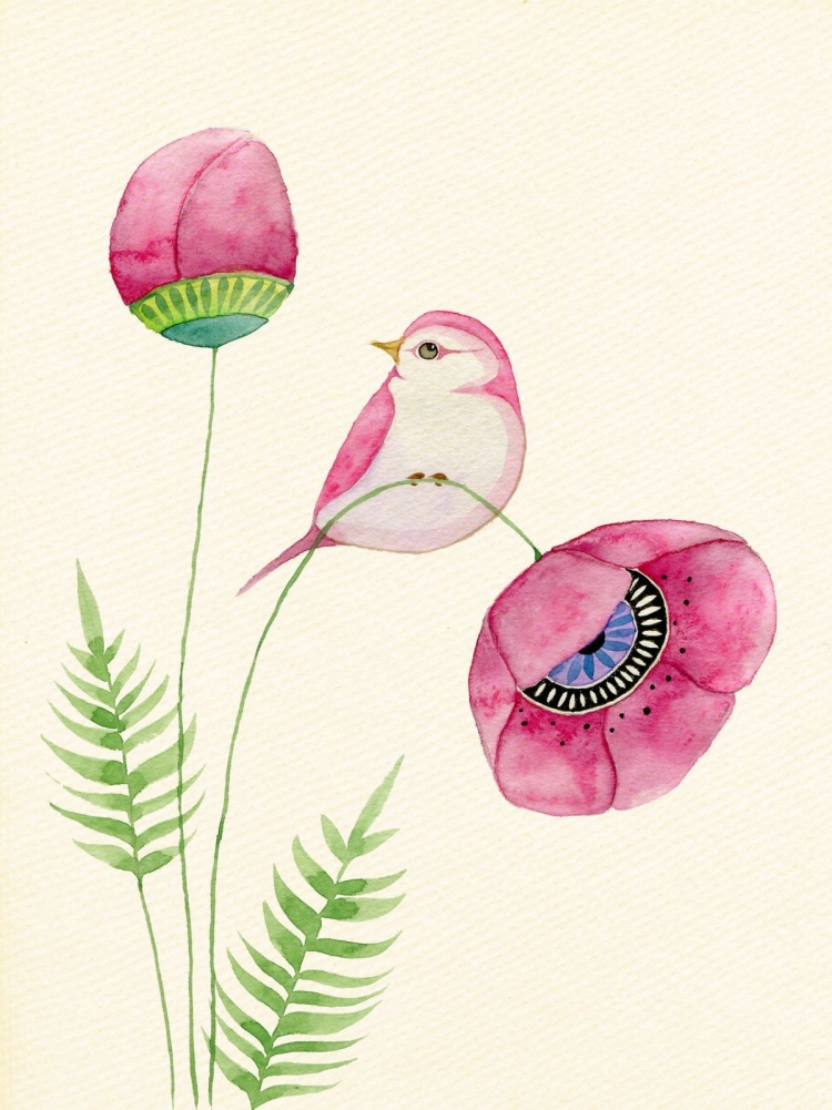 Птица с розовым брюшком
