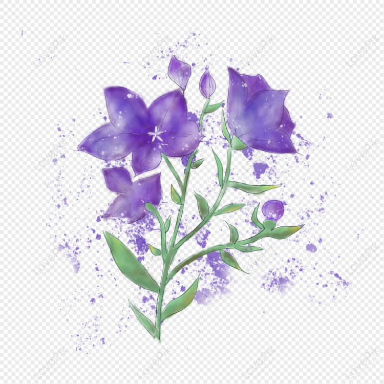 Садовый цветок с фиолетовыми цветами