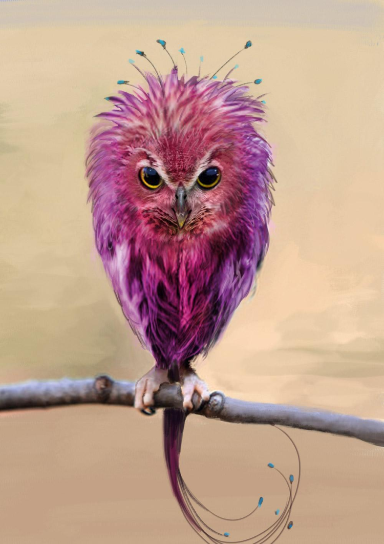 Птица с фиолетовыми глазами