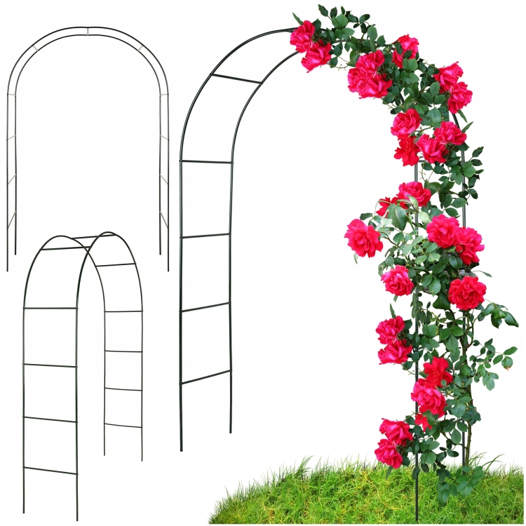 Металлическая арка для цветов