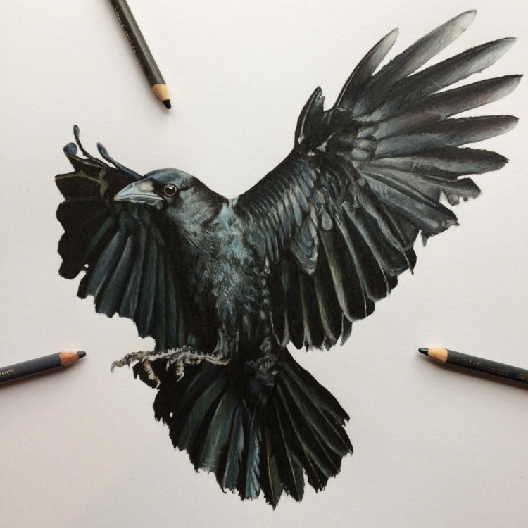 On Raven’s Wings