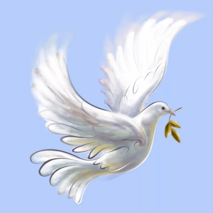 Птицы белые голуби