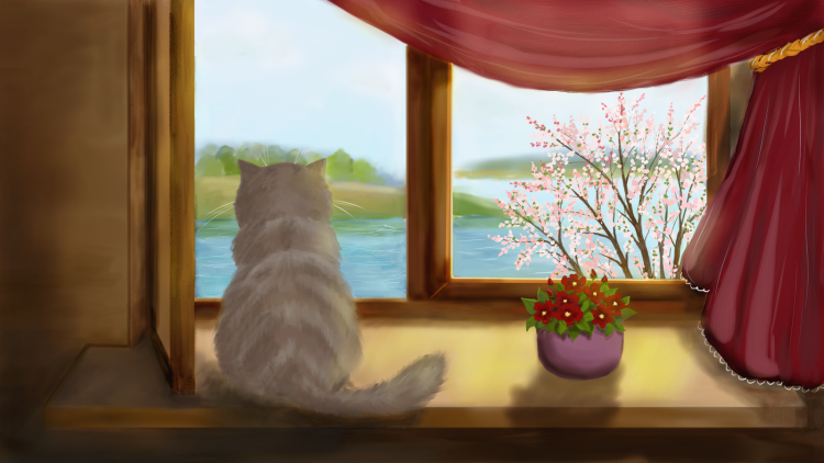 Серенькая кошечка на окне