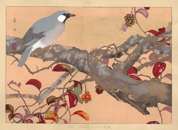 Художник Rakusan Tsuchiya