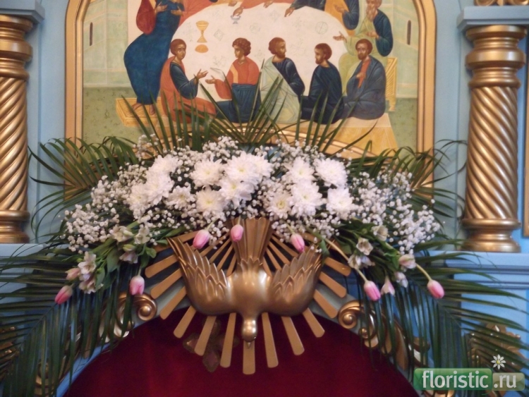 Троица популярный флористический форум
