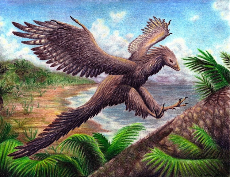 Древние гигантские птицы