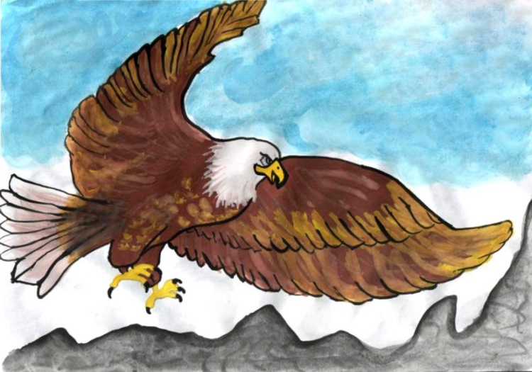 Орел рисунок цветной