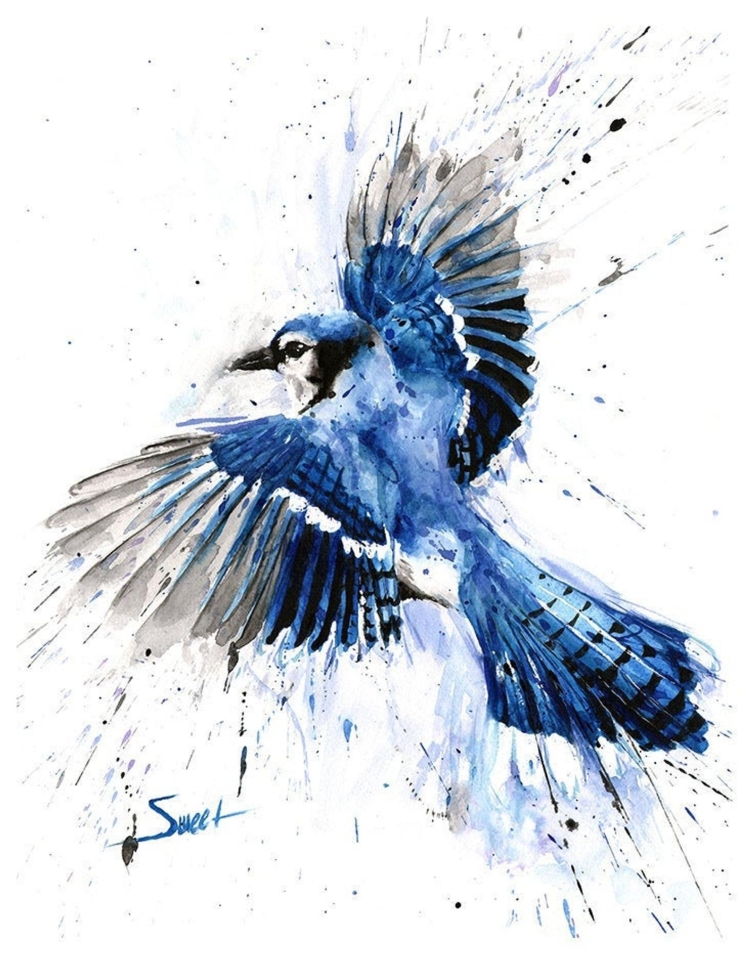 Птица черно белая с синими крыльями